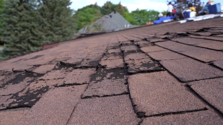 Best Gutter Installation and Repair  in Morgan Hill, PA